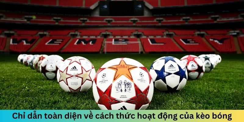 Chỉ dẫn toàn diện về cách thức hoạt động của kèo bóng